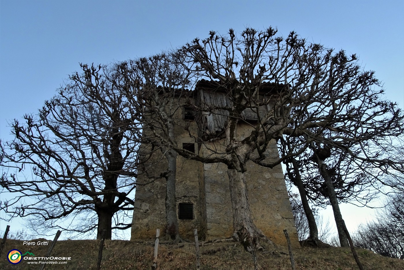 83  Architettura di piante al 'Rocol di Spadi'.JPG